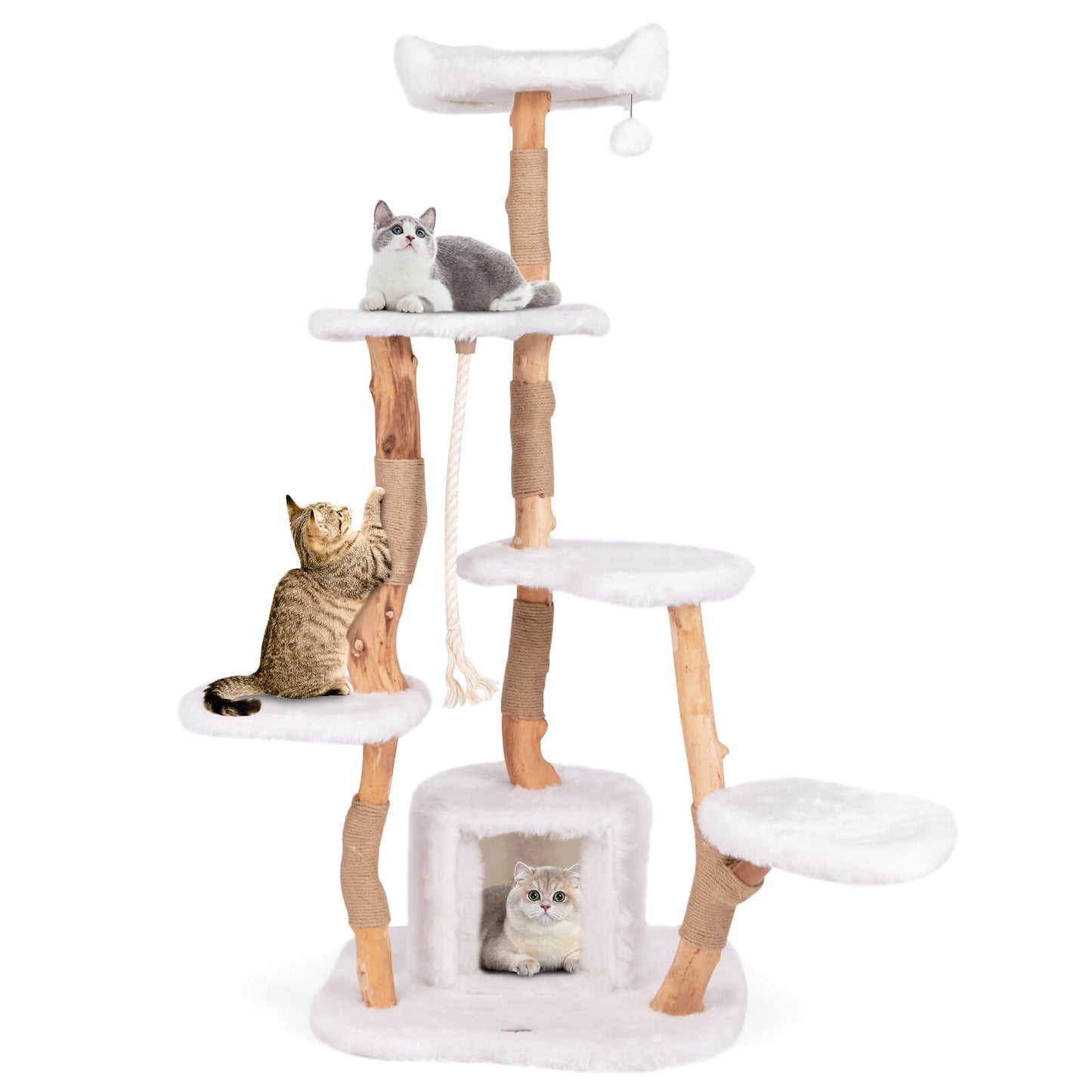 Infans 66 inch Tall Solid Wood Cat Tree w/ Perch Condo Jute Scratching Posts Sisal Rope