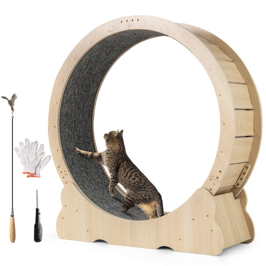 Infans Cat Exercise Wheel w/ Carpet &Lockable Mechanism Non-slip Wide Base Wide Base
